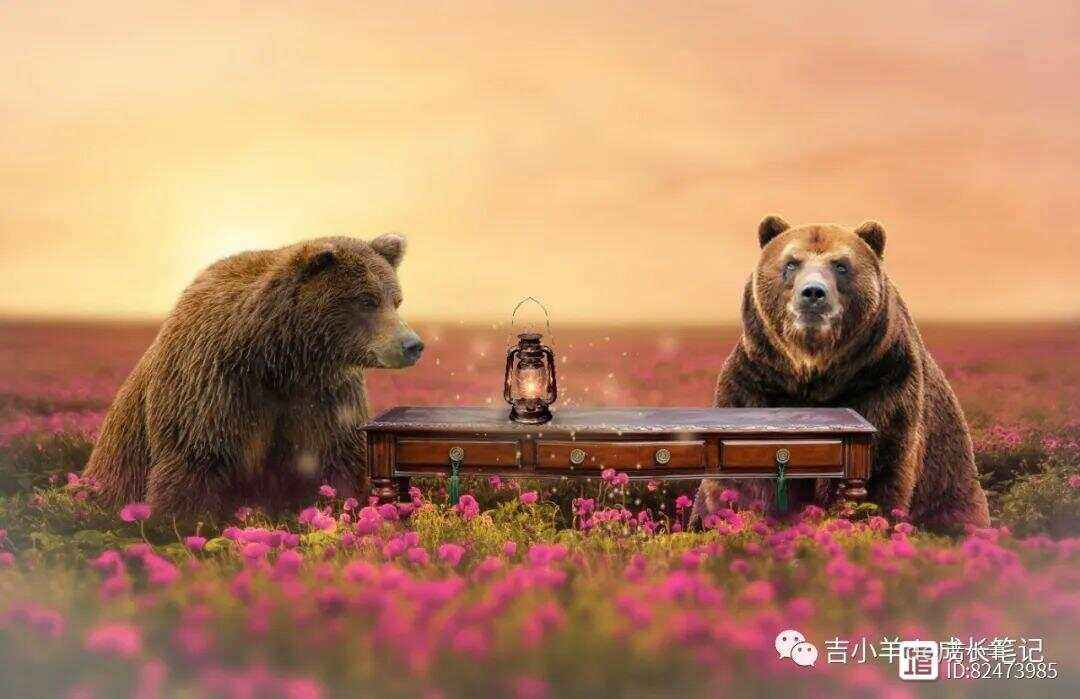 小羊去三角洲了。的简单介绍